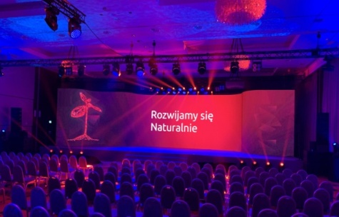 Flex p2, wyginane ekrany diodowe, techniczna obsługa imprez