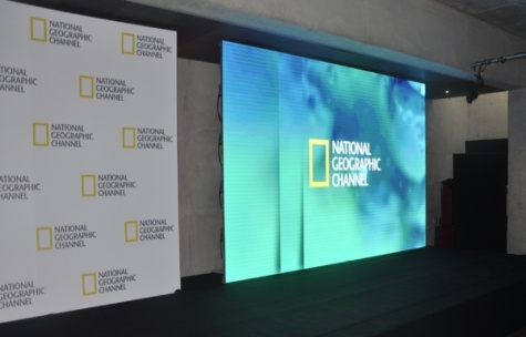 wynajem ekranów diodowych, wynajem ekranów bezszwowych